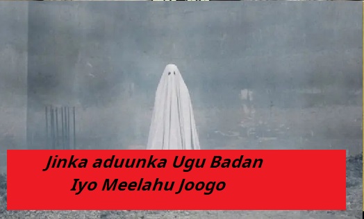 523783742_1510051843670659_1261584248513524651_n